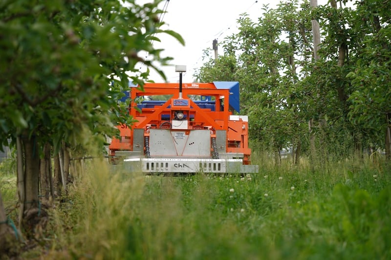 Drum-Mulcher