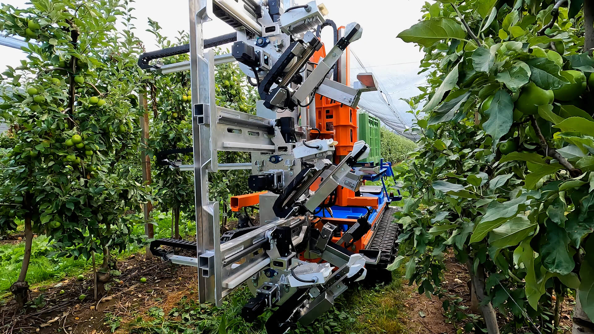 Apple picker